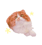 I am Fluffy Cat 2（個別スタンプ：14）