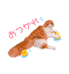I am Fluffy Cat 2（個別スタンプ：15）