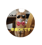 茶色の毎日（個別スタンプ：1）