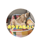 茶色の毎日（個別スタンプ：5）