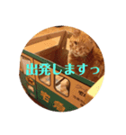 茶色の毎日（個別スタンプ：6）