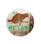 茶色の毎日（個別スタンプ：14）