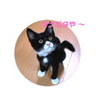 らくちん 大好き（個別スタンプ：7）