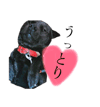 甲斐犬しお（個別スタンプ：6）