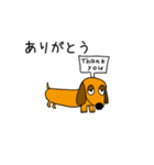 ラブリーダックスフンド まいど（個別スタンプ：3）