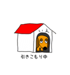 ラブリーダックスフンド まいど（個別スタンプ：19）