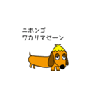 ラブリーダックスフンド まいど（個別スタンプ：31）