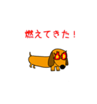ラブリーダックスフンド まいど（個別スタンプ：36）