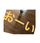 犬のピノ3（個別スタンプ：5）