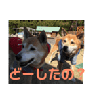 キンタとミミ（個別スタンプ：7）