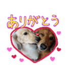 ちゅら＆ころん（個別スタンプ：3）