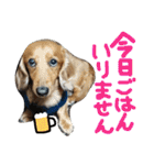 ちゅら＆ころん（個別スタンプ：11）