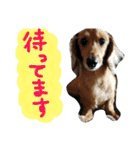 ちゅら＆ころん（個別スタンプ：25）