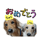ちゅら＆ころん（個別スタンプ：27）