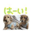 ちゅら＆ころん（個別スタンプ：29）