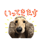 ちゅら＆ころん（個別スタンプ：32）