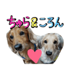 ちゅら＆ころん（個別スタンプ：35）