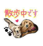 ちゅら＆ころん（個別スタンプ：38）