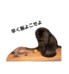 実家の動物たち（個別スタンプ：16）