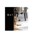 メラアヤ#1（個別スタンプ：4）