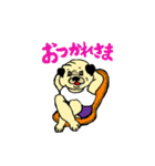 パグのポン太とシロ犬（個別スタンプ：7）