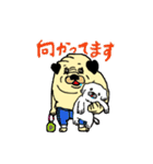 パグのポン太とシロ犬（個別スタンプ：9）