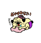 パグのポン太とシロ犬（個別スタンプ：12）