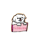 パグのポン太とシロ犬（個別スタンプ：16）