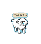 パグのポン太とシロ犬（個別スタンプ：22）
