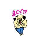 パグのポン太とシロ犬（個別スタンプ：29）