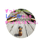 女子高生こけしちゃん3（個別スタンプ：5）