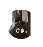 okometsubu（個別スタンプ：3）
