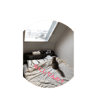 okometsubu（個別スタンプ：5）