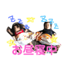そら、ゆうが（個別スタンプ：8）