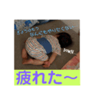 ちびギャング！！！ part 2.（個別スタンプ：3）