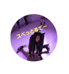 Chie.Chika（個別スタンプ：5）