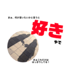 Chie.Chika（個別スタンプ：15）