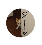 コータのスタンプ2（個別スタンプ：8）