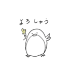 ゆるゆるペンギンしろ（個別スタンプ：36）