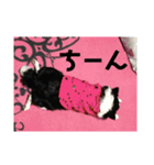 チワ澤さんの毎日チワワ2（個別スタンプ：9）