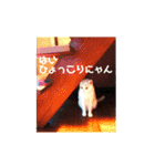 ださかわいい 池田しろ（個別スタンプ：1）
