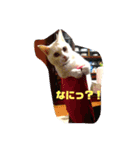 ださかわいい 池田しろ（個別スタンプ：9）