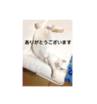 ださかわいい 池田しろ（個別スタンプ：14）