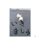 ましゅたんぐ（個別スタンプ：4）