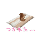 もふもふスタンプ！（個別スタンプ：6）
