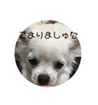 ましゅたんぐ2（個別スタンプ：5）