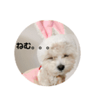 クリームラテ（個別スタンプ：2）