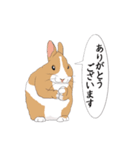 癒し生活 [うさぎ]（個別スタンプ：5）