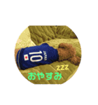 トイプードル ジダン（個別スタンプ：2）
