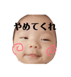 大向ファミリー（個別スタンプ：23）